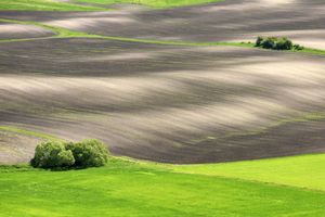 Terra Galicia