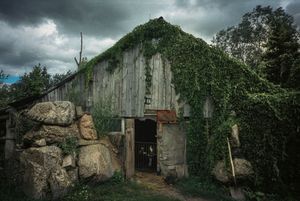Orvydas Garden, Salantai, Lithuania