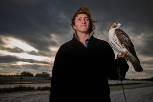 Falconer Tarim Contin-Kennedy