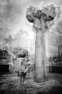 Paul Vasilescu - Borzesti Oak