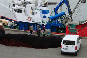 Maintenance services at San Vicente de la Barquera Shipyard