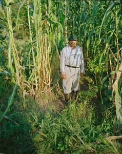 Augustin, Decker Farm, New Springville, Staten Island