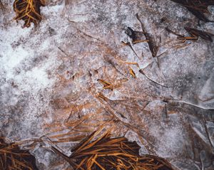Icelandic Surfaces #6