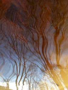Reflecting Sky 2