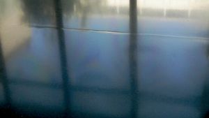 Memento's Memory© Katharine Frankel