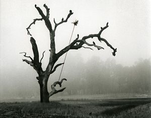 Vulture's Roost