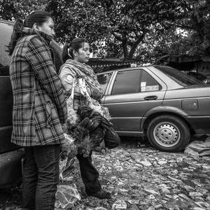 © Francisco Alcala Torreslanda