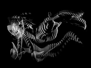 Vivian Entangled