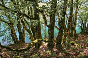 Lac Pavin, Auvergne