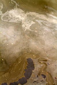 Untitled (Gowsanus Canal)