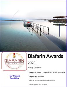 2024 Biafarin Awards November 2023-January 2024