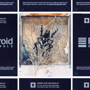 N°121 : It’s no longer Polaroid but... what is this?