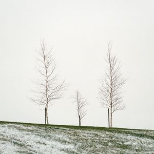November