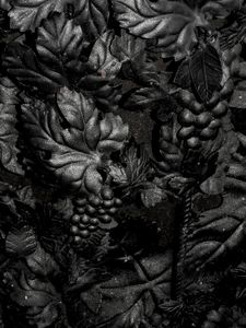 Black  Surface