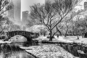 Snowing in Central Park