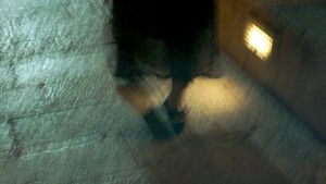 Lace© Katharine Frankel