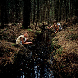 The Wicked Brook