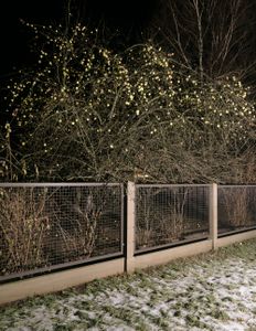 Neighbour