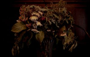 xmas flowers 1