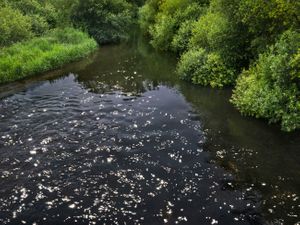 Chalk Streams 3