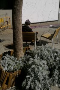 Loneliness