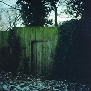 the garden