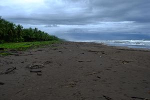 Tortuguero, Costa Rica, 2018