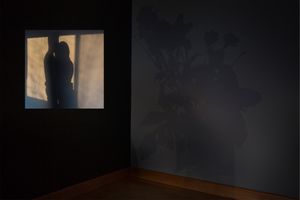 Spaces & Traces