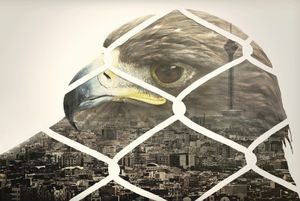 Eagle&Town