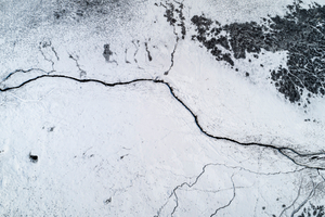 Lakeshore Operations | Ground Level Series #02