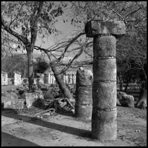 Columns - Chichen Itza