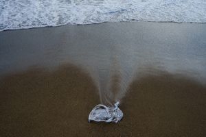 Single-use plastics, the food of the future