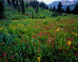 Kennebec Pass country, La Plata Mountains, CO
