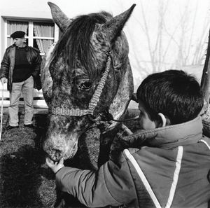 St. Catherine's Fair.