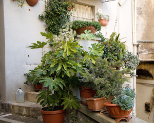 Fiuggi, Patio Garden