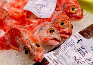 MARKET FRESH