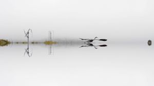 Fog 2. From the series, And the Whole World Stops.
