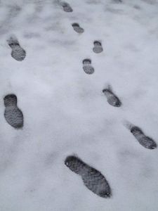 Steve and the little one's footsteps walking in the winter wonderland
