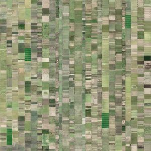 rice fields, japan