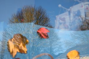 window compositions #6