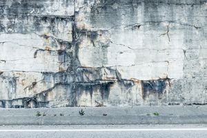 New Westminster, 2020