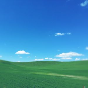 Palouse Surreality