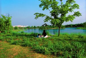 Picnic, from the Paradise Island series © Hyo-jin In