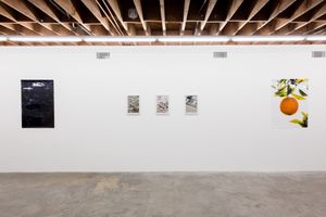 Daniel Terna & Evan Whale, Exhibition View, Courtesy LY Gallery, 2019