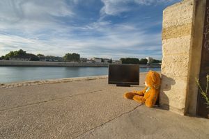 Teddy in France & The screen