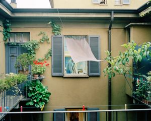 window #22 © Giorgio Barrera