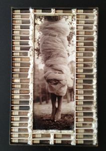 Specimen  © Lori Vrba