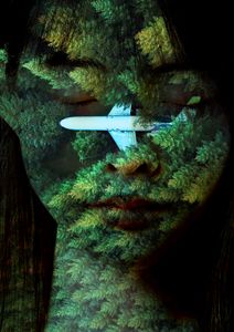 no parking, at any time