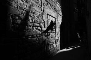 Light & Darkness