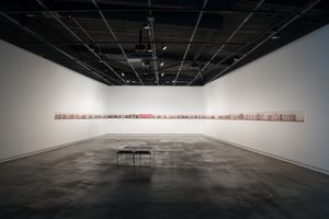 Portrait of my mother (installation Griffith University Art Gallery 2008)